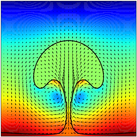 This is a snapshot from a transient 2D simulation of a boiling film. The black line represents the interface between the gaseous phase (bottom) and the liquid phase (top). The color scale indicates the pressure level from blue (low) through green to red (high). The domain is heated from the bottom, causing the liquid to evaporate at the interface and the gaseous film to grow. Eventually, the film releases a bubble as depicted.