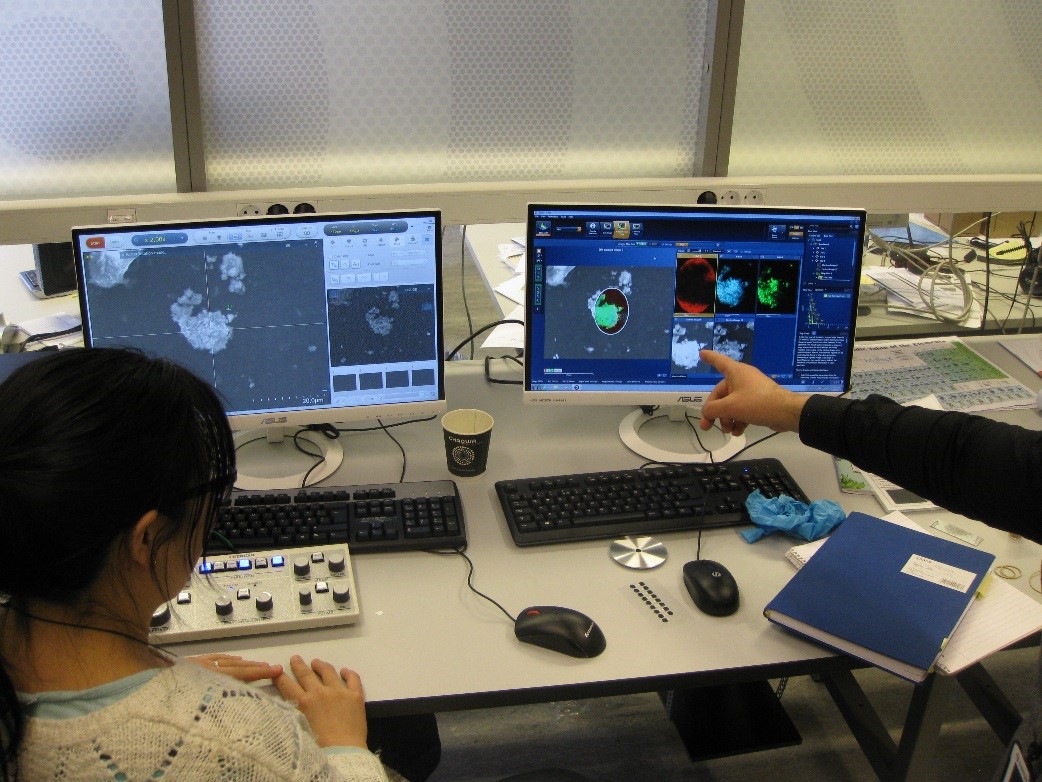Det diskuteres hva man ser i elektronmikroskopet og elementanalysen.