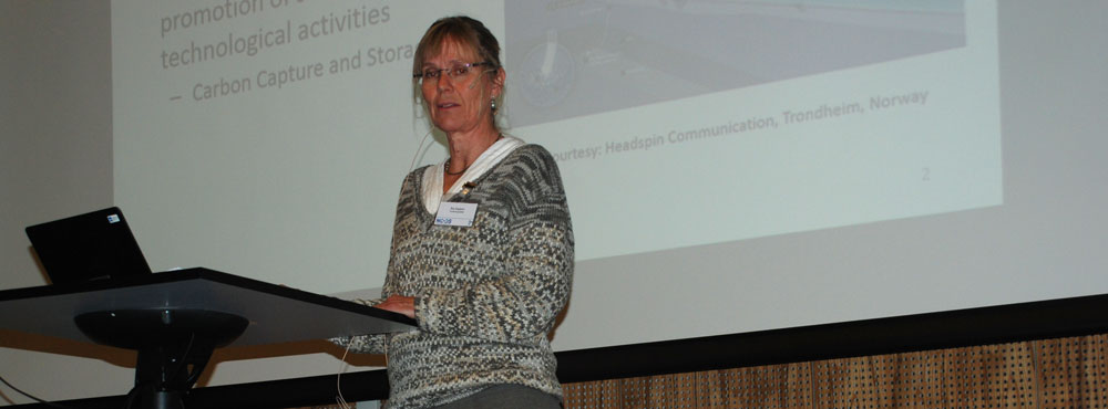 Åse Slagtern, Special Advisor, Research Council of Norway