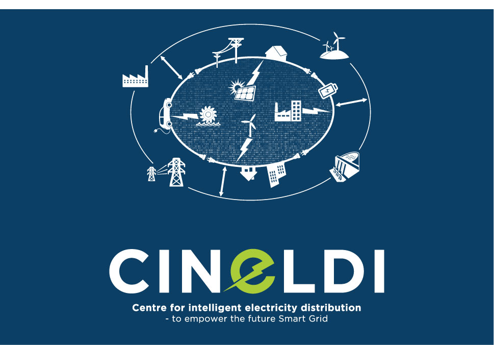 How can the distribution grid be adapted to facilitate a large-scale electrification of the society?