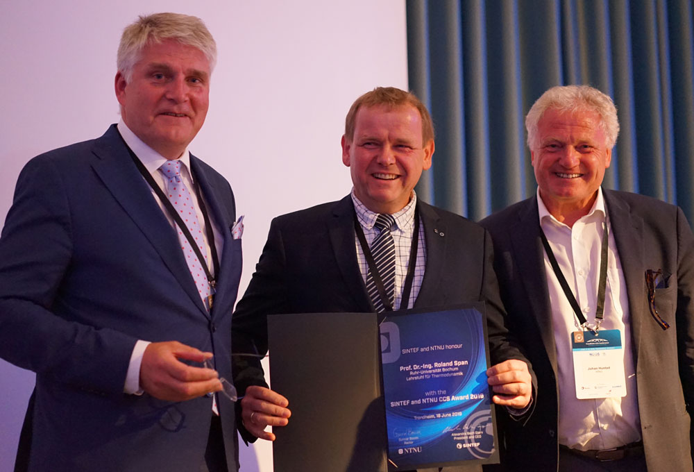 Winner of the SINTEF and NTNU CCS Award Roland Span