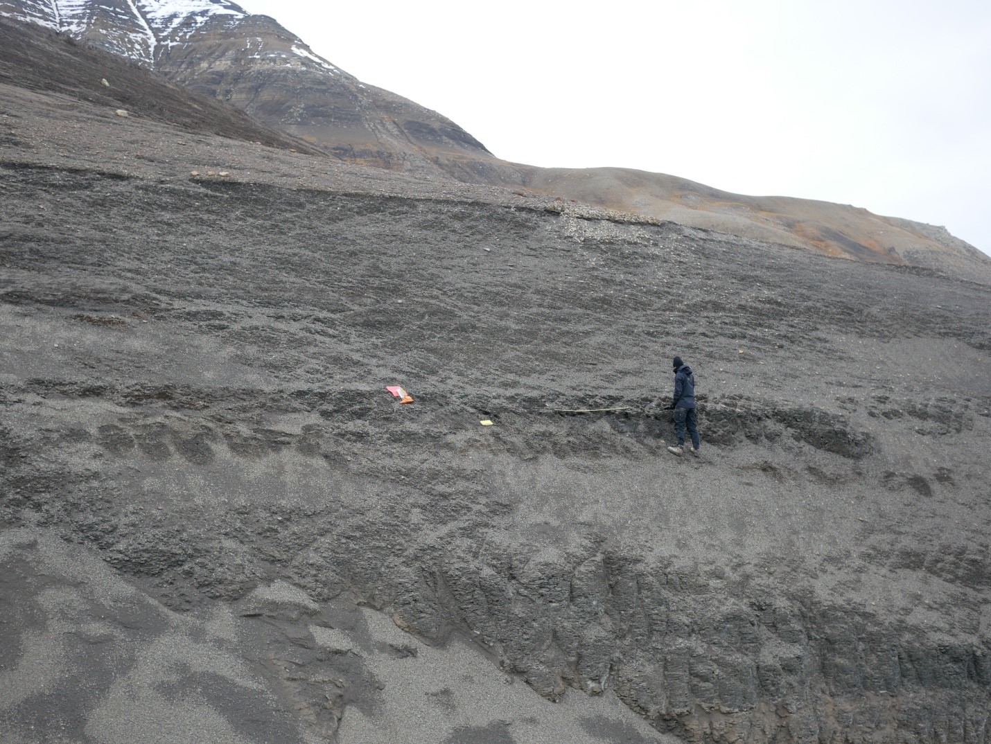 MSc student Karoline Løvlie systematically measuring fracture orientation and spacing in the upper Agardhfjellet Formation. caprock integrity