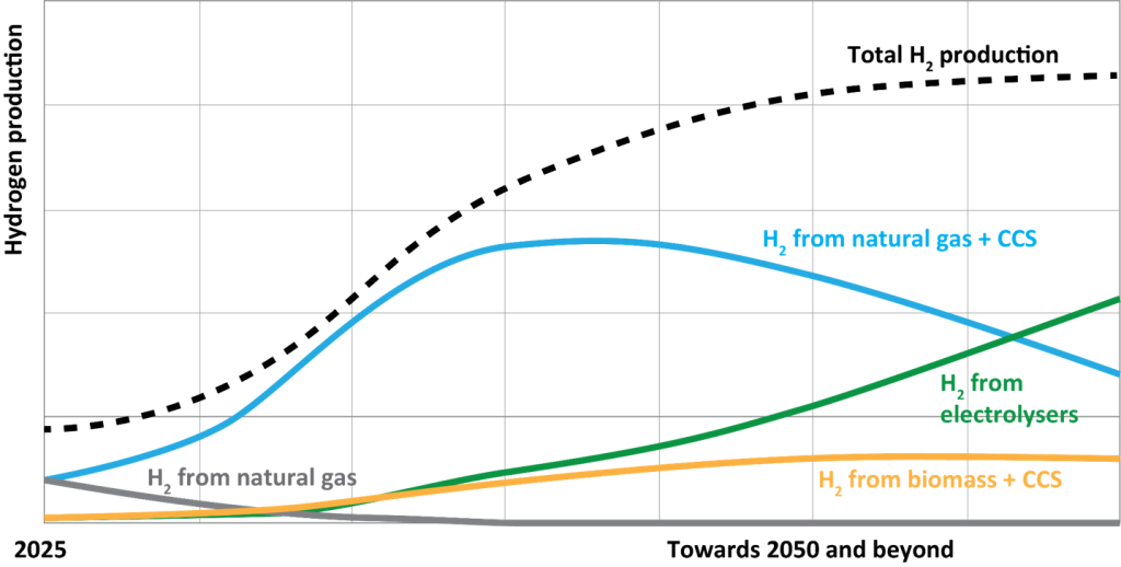 Hydrogen production towards 2050