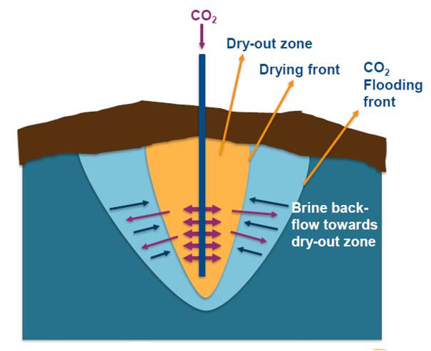 Sketch showing injected CO2 drying front and capillary brine back-flow.