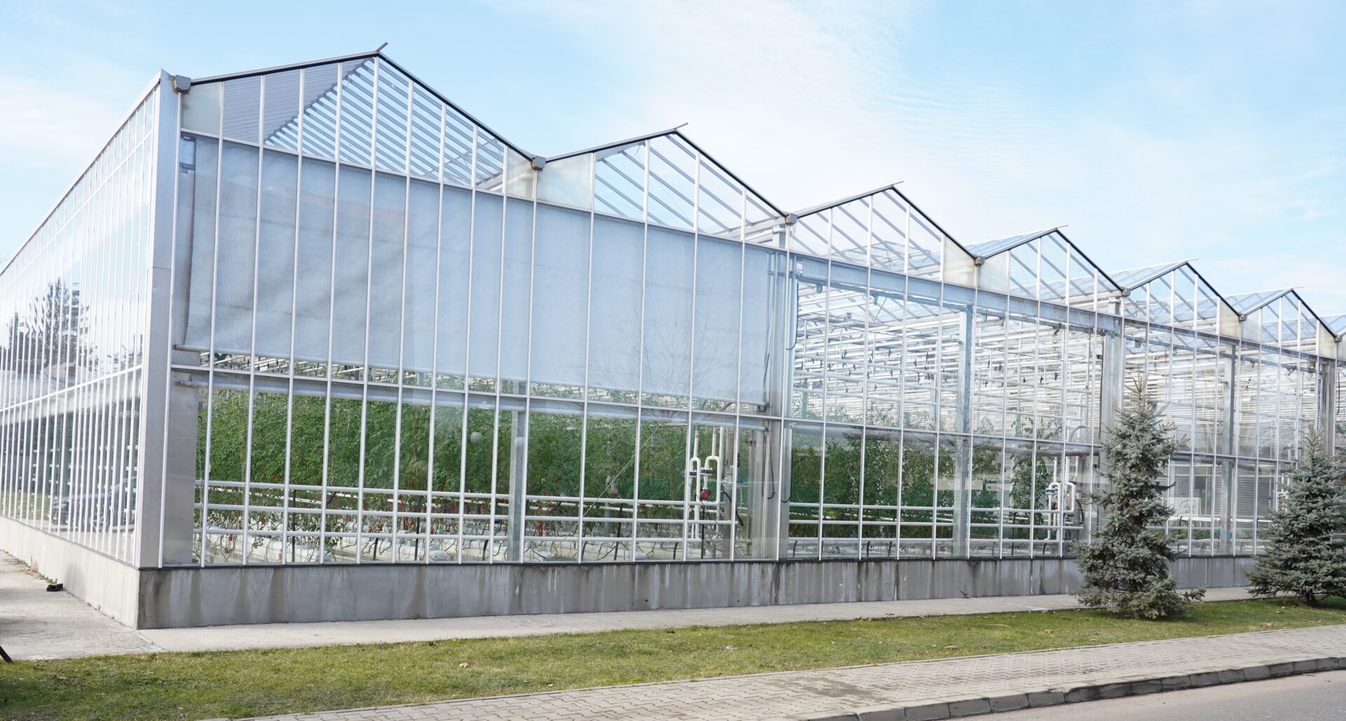 The research greenhouse at the University of Agronomic Sciences and Veterinary Medicine of Bucharest (USAMV), Romania