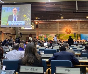 UNEA President Espen Barth Eide giving opening speech at last day of conference. 