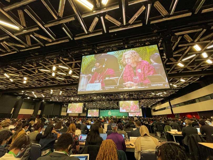 UNEP Executive Director speaking at the Opening Plenary of the COP15 of the Convention of Biological Diversity. Photo: Rachel Tiller, SINTEF