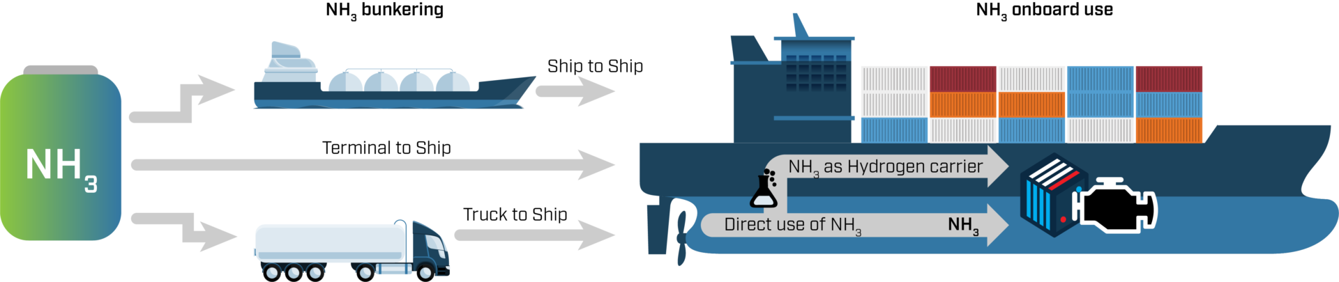 Ammonia value chain for bunkering and use on board a ship