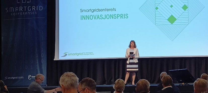 Jurymedlemmet Sonja Berlijn (KTH) delte ut Smartgridsenterets innovasjonspris.
