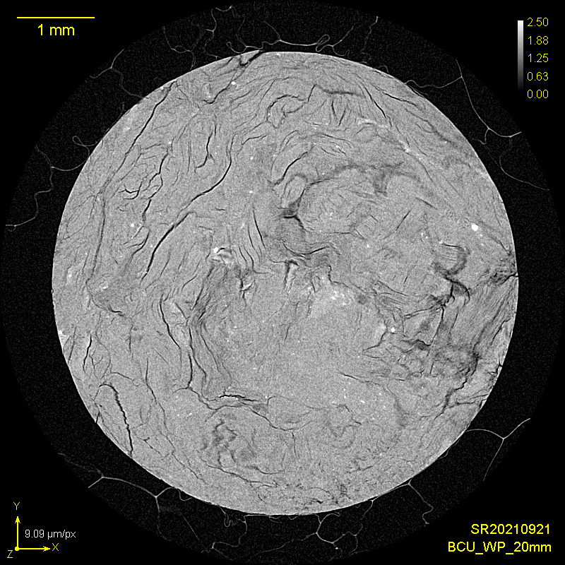 μCT image of biochar