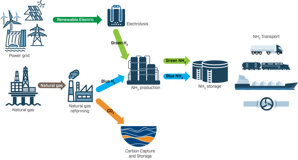 Green and blue hydrogen production and transport value chain