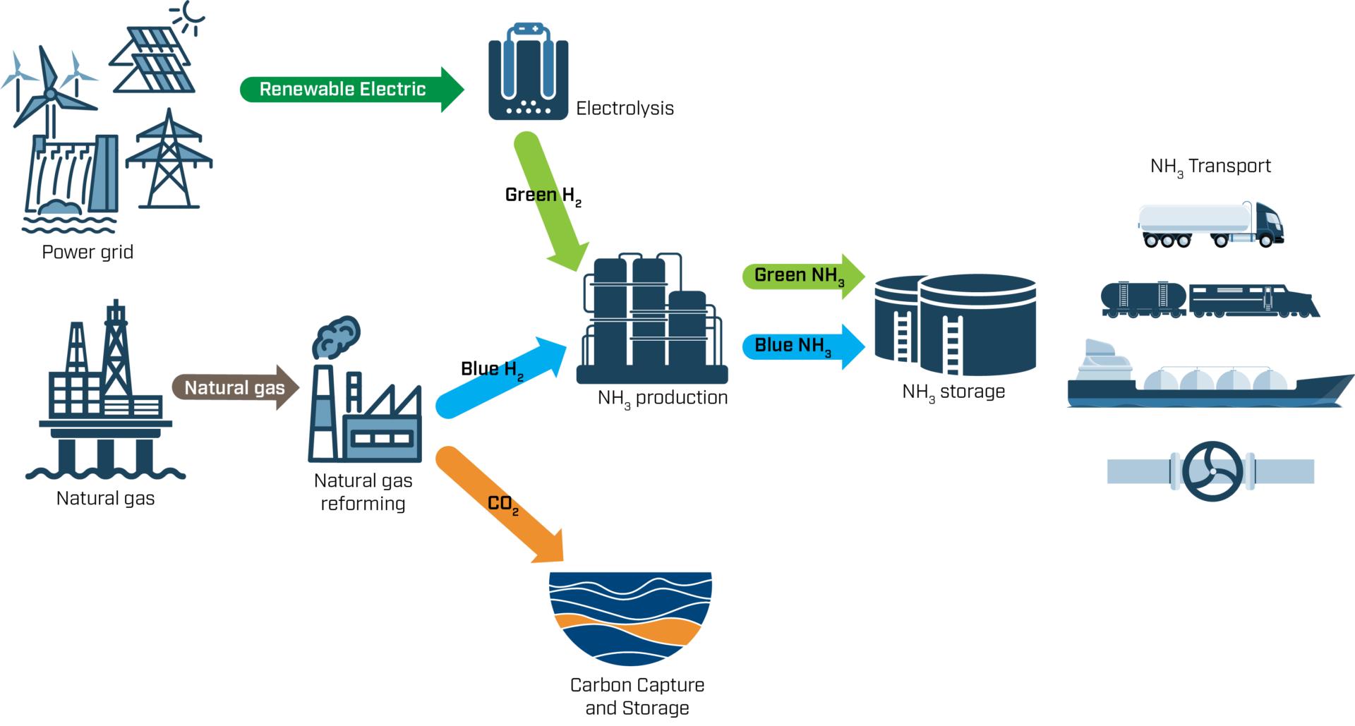 Green and blue hydrogen production and transport value chain