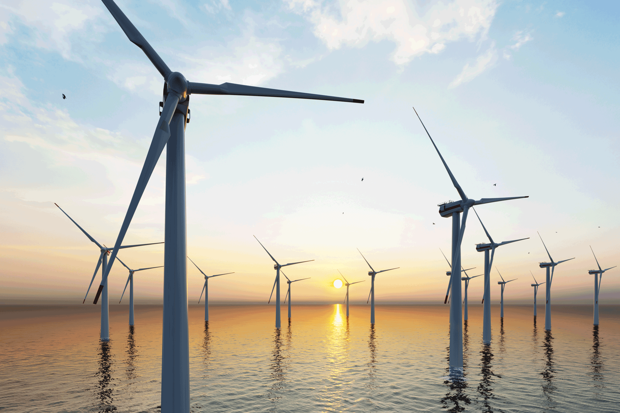 Wind turbines on calm waters