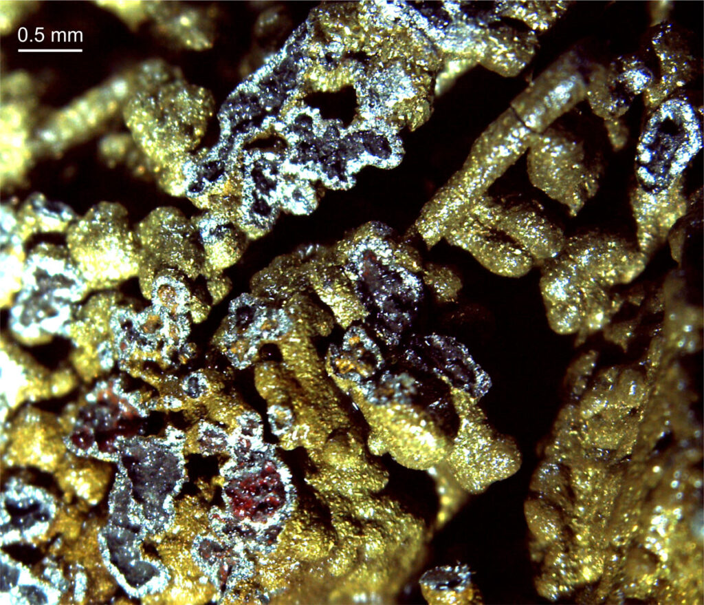 Mikroskopbilde som viser rikelig kobbermineralisering.
