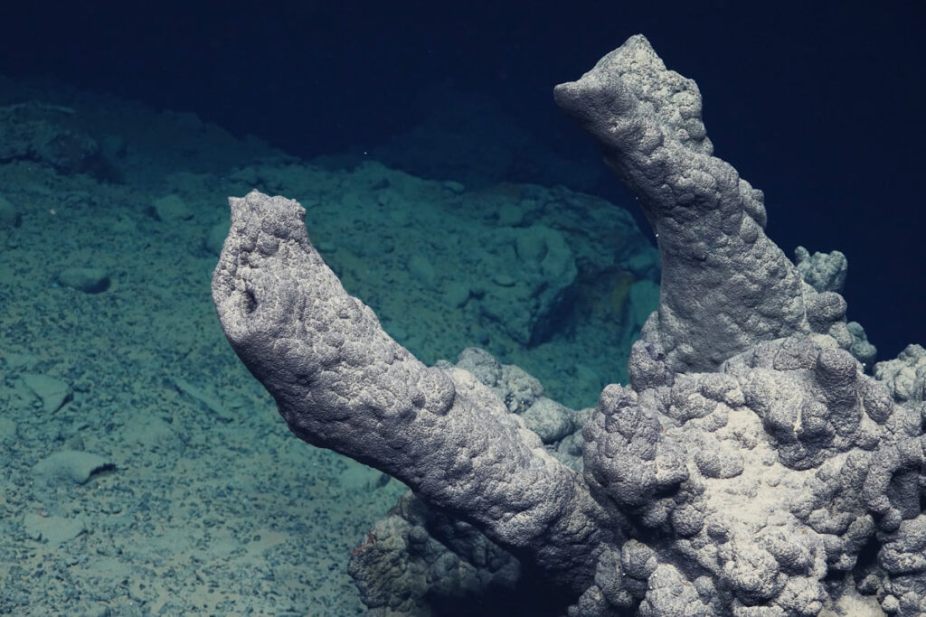 Underwater image showing an inactive hydrothermal chimney, covered in a manganese crust.