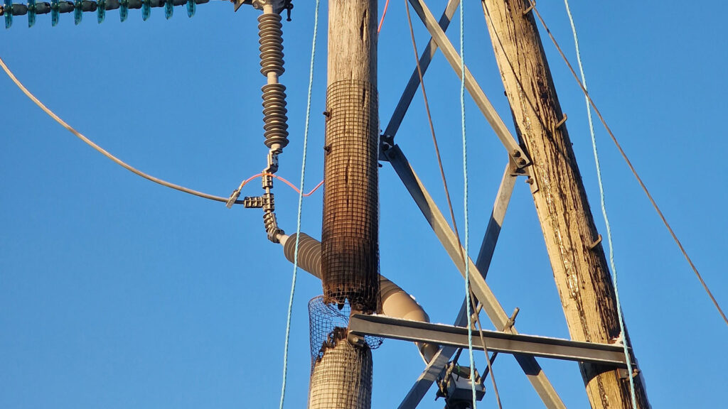Figur 5: Brent mast antakeligvis forårsaket av mangelfull elektrisk kontakt mellom en kabelskjerm og mastens jordingssystem.