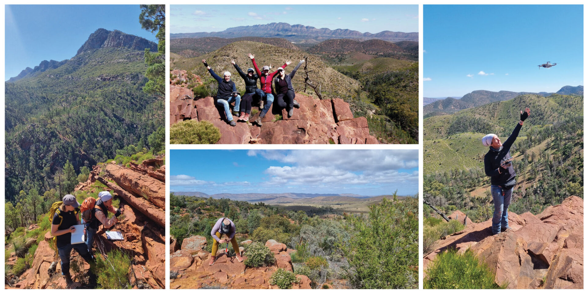 Fieldwork action shots