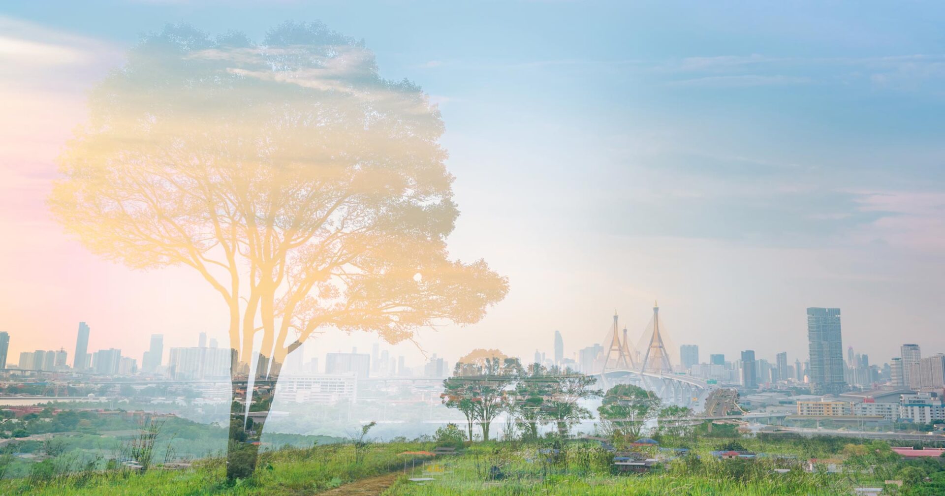 Composite image showing a tree with a city in the background.