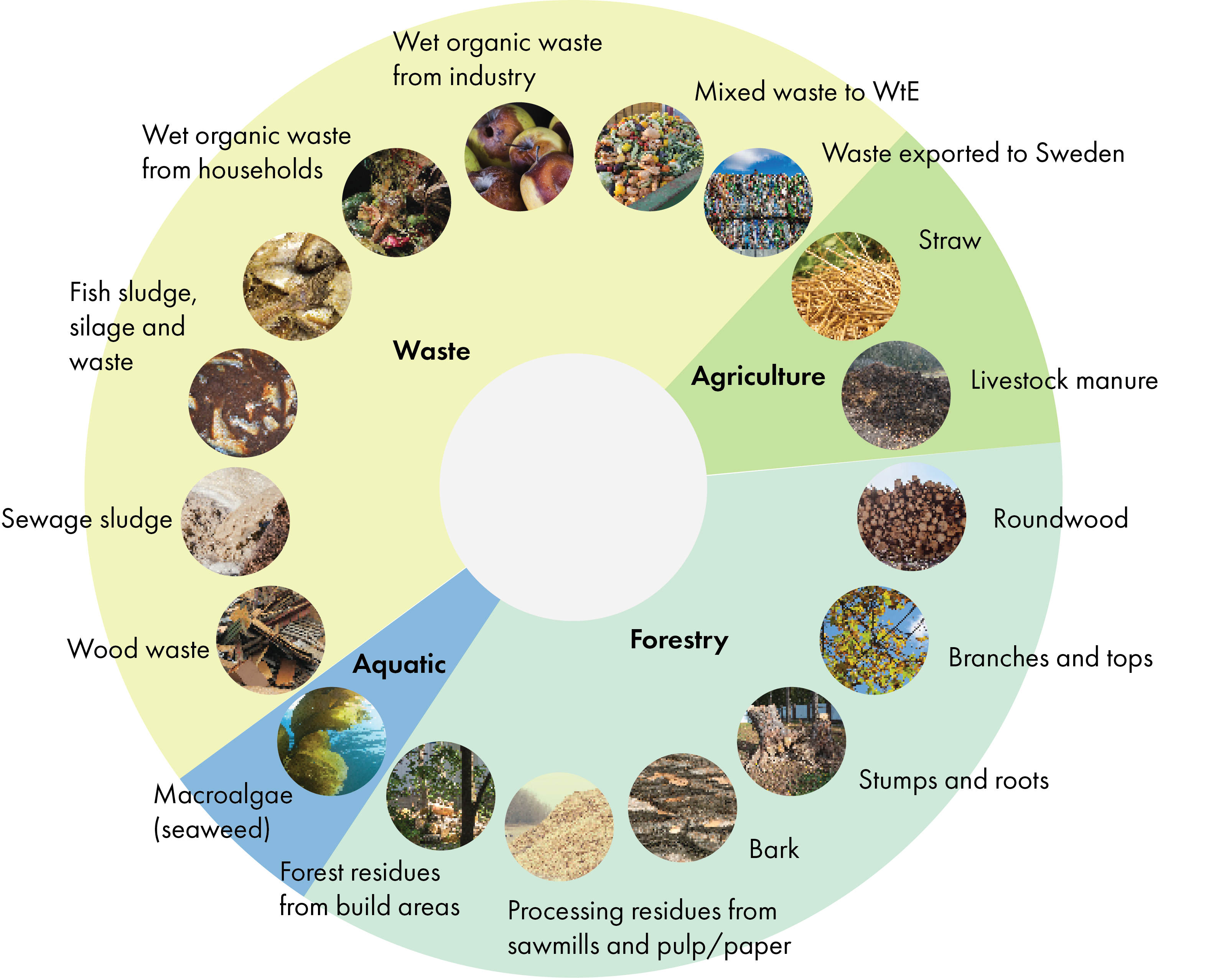 Biomass category overview