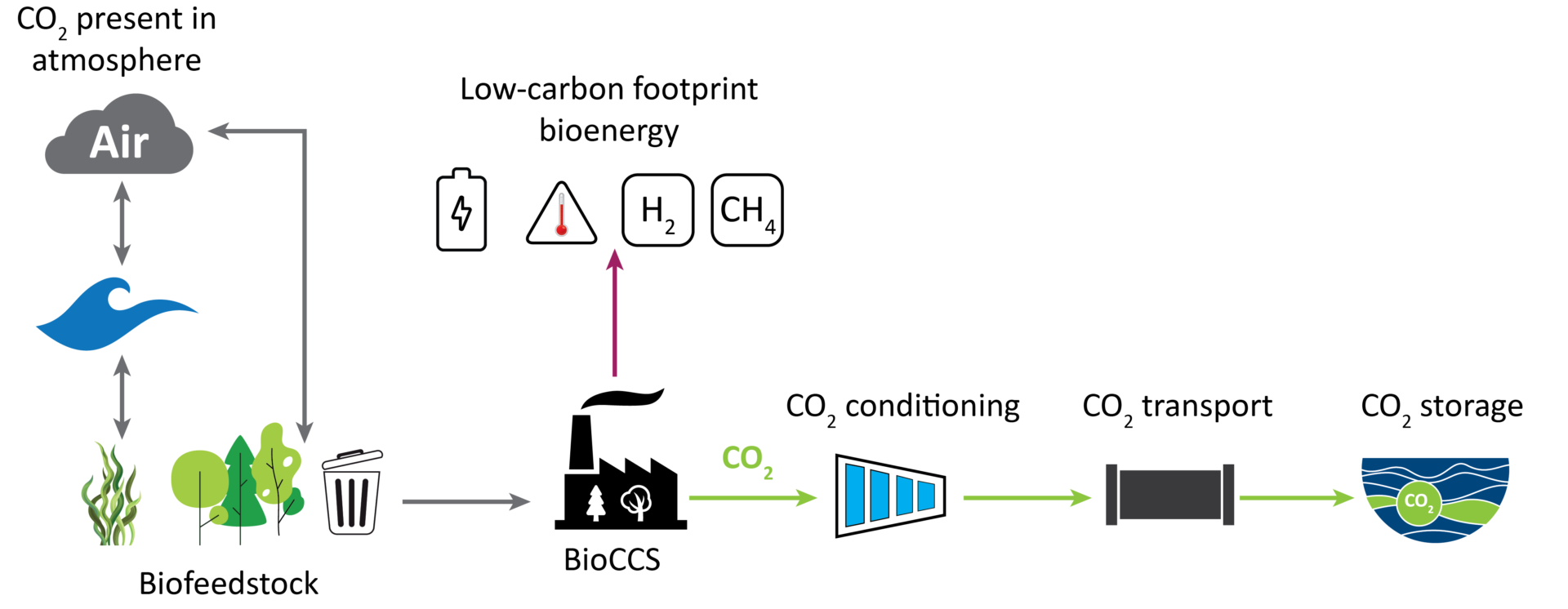 BioCCS pathways