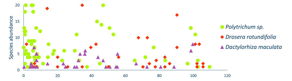 A scatter plot showing the abundance of three indicator species at different distances from roads in Norwegian coastal ecosystems. Green circles represent Polytrichum sp., red diamonds represent Drosera rotundifolia, and purple triangles represent Dactylorhiza maculata. The x-axis indicates distance to roads, and the y-axis shows species abundance. The data highlights variation in abundance patterns among the species across distances.