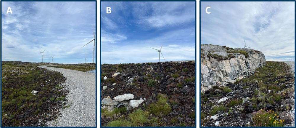 Three photos labeled A, B, and C, showing examples of human and natural disturbances in a wind farm landscape.
A: A gravel road curves through a grassy and rocky terrain, with wind turbines visible in the distance under a partly cloudy sky.
B: A rocky area with sparse vegetation and a visible drainage culvert made of concrete beneath the ground, with a wind turbine in the background.
C: A steep rocky outcrop with patches of grass and wildflowers growing at its base, and a wind turbine faintly visible on the horizon under a cloudy sky