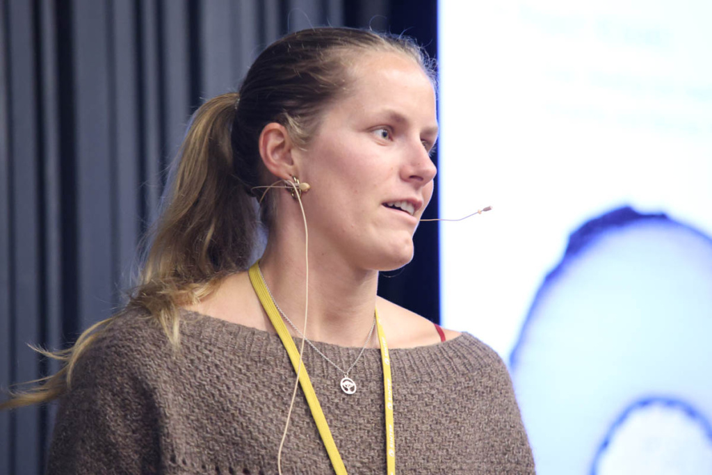 En person holder en presentasjon.