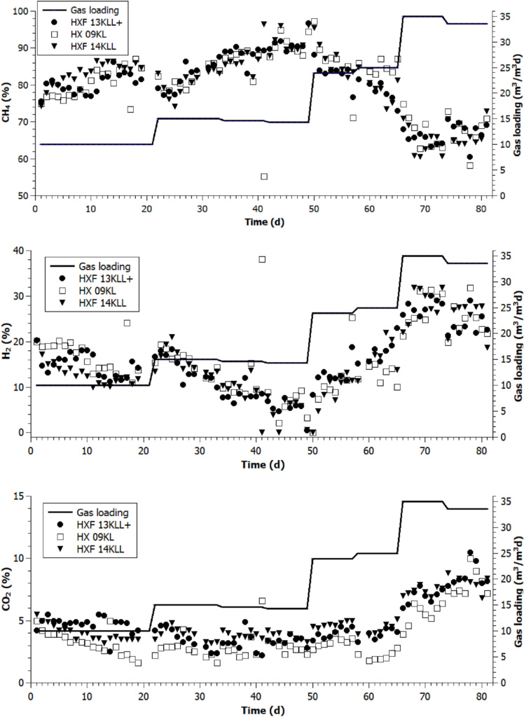 Scientific illustration