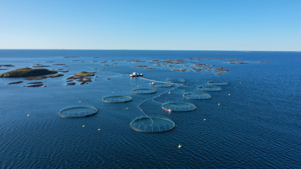 Oversiktsfoto over 10 fiskemerder som ligger i formasjon med et fartøy like ved.