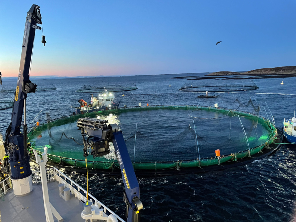 Service farrtøy fortøyd til fiskemerd.