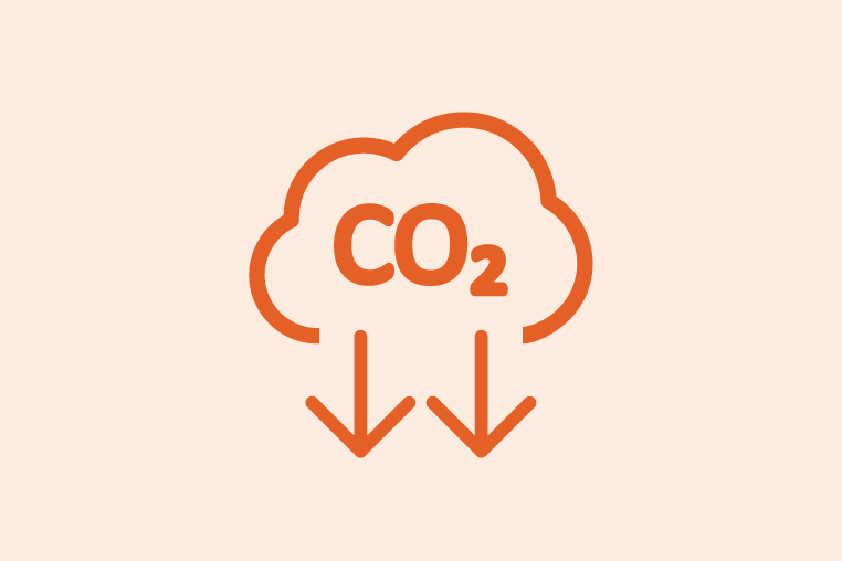 COP30 Carbon Dioxide Removal icon