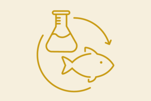 COP30 Circular Bioeconomy icon