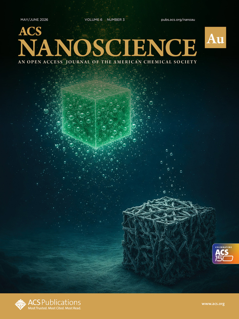 Cover of research paper Nanoscience.