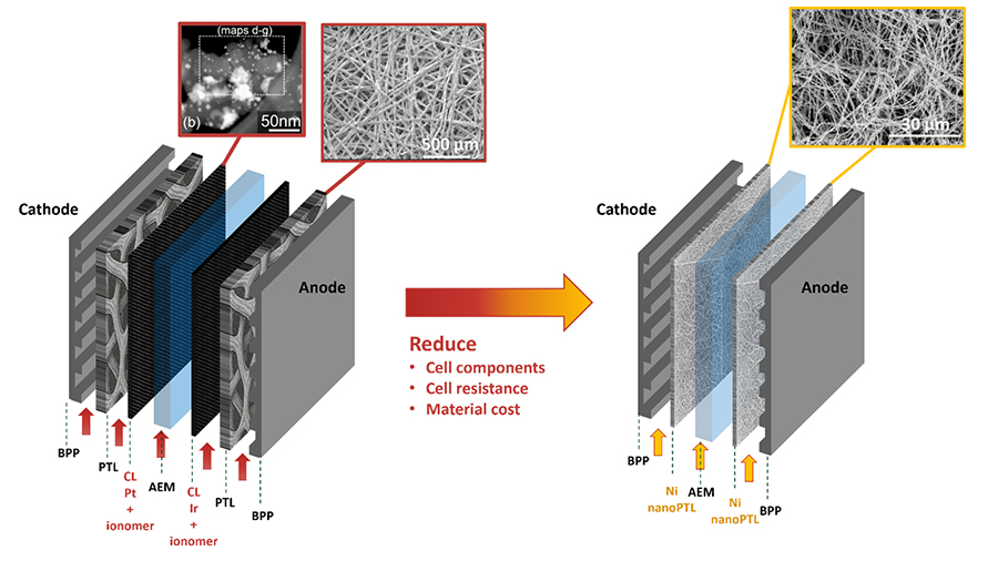 Schematic drawing of cell components of conventional cell and simplified cell with nanoPTL.