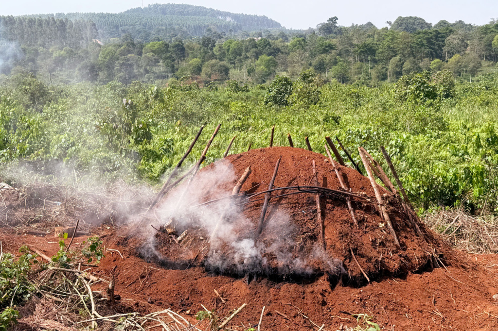 A traditional charcoal kiln in Uganda
