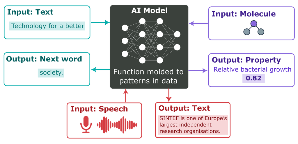 Figure 2. AI models are functions that accept inputs and produce outputs. Their parameters are molded to patterns in data. They can be trained to predict the next word in a sentence as in chatbots, to translate audio into text, or to predict properties of research interest, such as the antibiotic activity of a molecule.