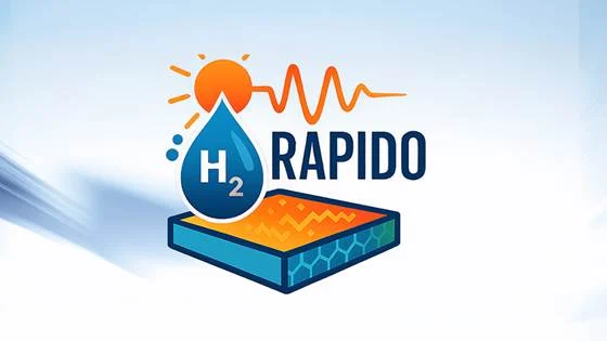 RAPIDO project